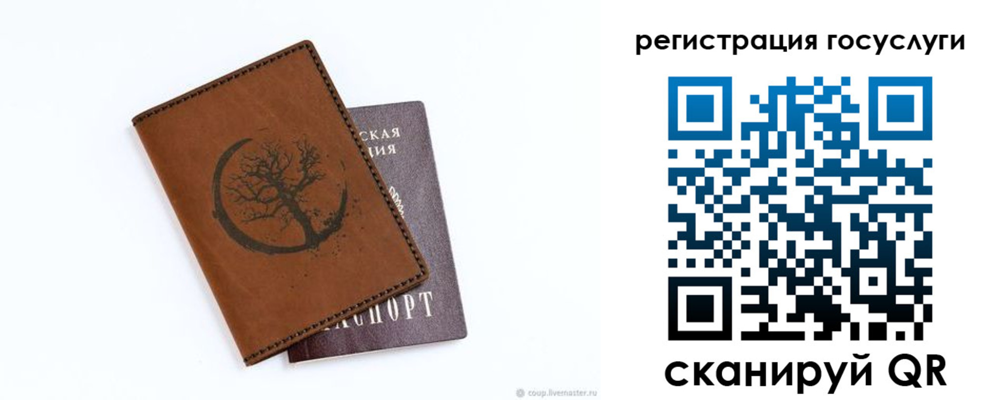 прописка для школы в Североморске