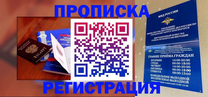 временная регистрация для школы в Североморске